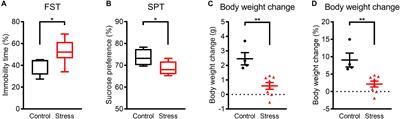 Effects of 3 Weeks of Water Immersion and Restraint Stress on Sleep in Mice